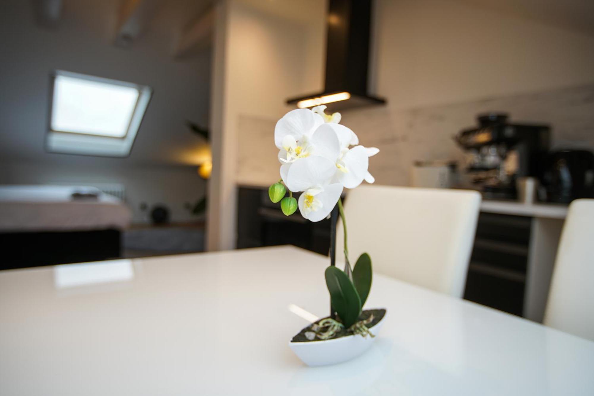 George Apartment Düsseldorf Extérieur photo